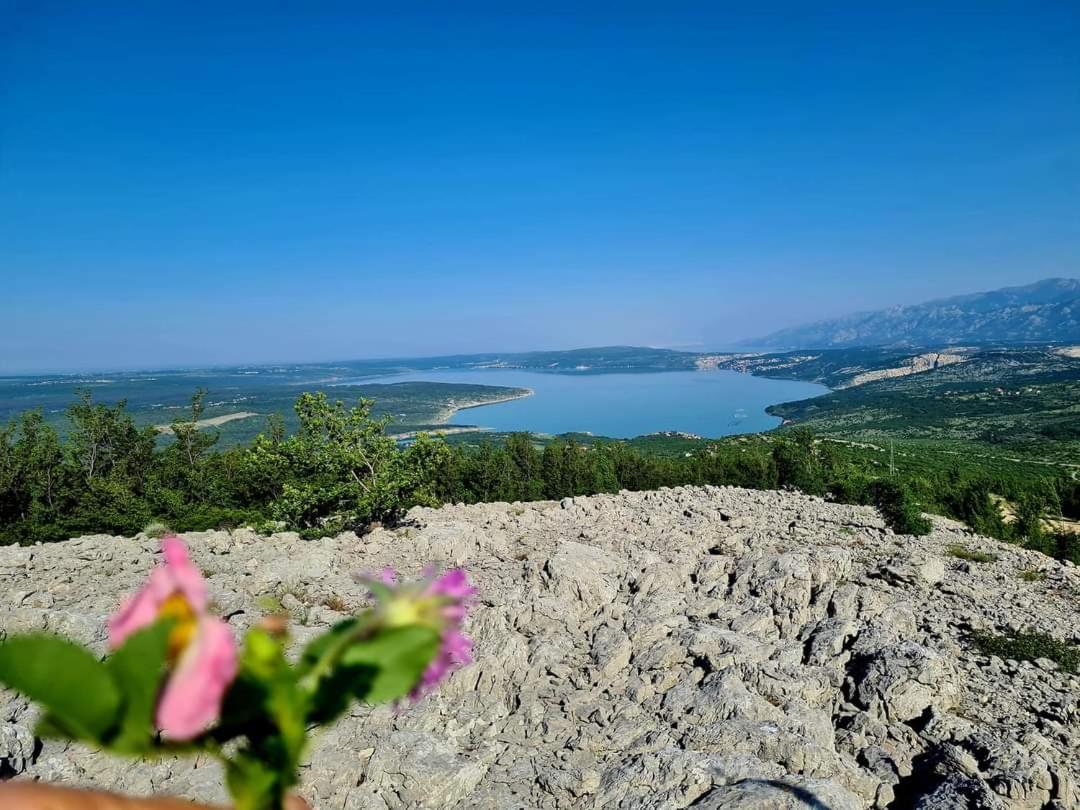 Ivan Krusevo (Zadar)
